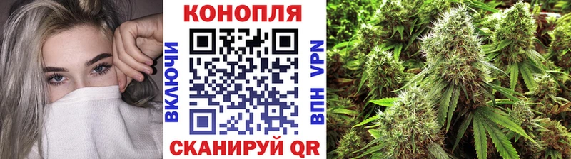 Где купить наркоту Куровское ГАШ 