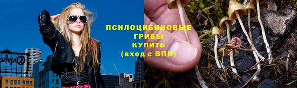 прущие крисы Новозыбков