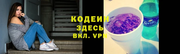 прущие крисы Новозыбков