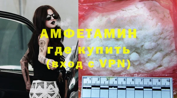 прущие грибы Шадринск