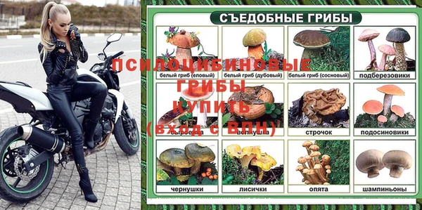 прущие крисы Новозыбков